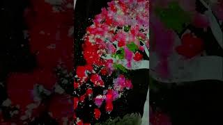 Some beautiful flowers 🌼 on black chart paper 📜art painting shorts short video [upl. by Nyladnohr]