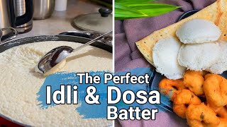 How to make the perfect IDLI DOSA BATTER Coconut chutney Sambar Ulundhu vadaiNaveenas Tiny Tips [upl. by Philips]