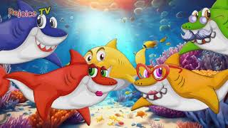 Baby Shark Doo Doo Doo  Baby Shark do do do  Rhymes for Kids 🦈 toddlers [upl. by Atse275]