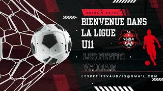 Tournoi Pillous  Le Puy Foot 43 vs Fc Vaulx en Velin  U11 GENERATION 2014 [upl. by Rik]