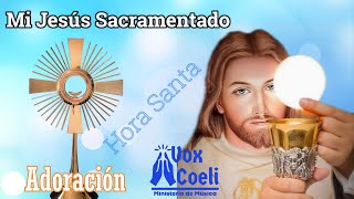 Mi Jesús Sacramentado Canto de Adoración para la Hora Santa [upl. by Dola575]