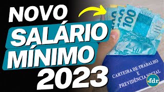 NOVO SALÁRIO MÍNIMO 2023 COMEÇOU VALOR MAIOR JÁ ESTÁ DISPONÍVEL E TRABALHADORES COMEMORAM AUMENTO [upl. by Averi323]