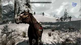 Lets Play Skyrim  155  The Stormcloak Courier [upl. by Bendix484]