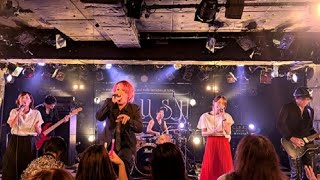 TRUSH【LIVE】『ホワイトノイズ Offical髭男dismCover』OSAKA HEAVENS GATE20241110 [upl. by Nalced]