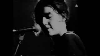 Elastica  Live at Cologne Kantine 27th April 1995 Never HereVaseline [upl. by Phebe]