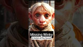 Missing Winky A Goblet of Fire Secret [upl. by Llerdna]