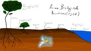 Le Forme Biologiche strategia di sopravvivenza nelle piante [upl. by Arahsit]