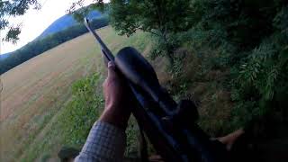 Deer hunting Tikka T3 7x64 [upl. by Olodort]