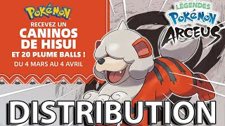 DISTRIBUTION CANINOS DE HISUI 🎁  LÉGENDES POKÉMON ARCEUS [upl. by Sclar]