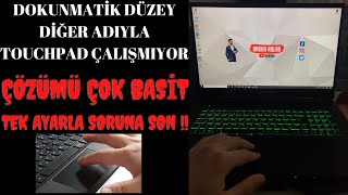 DOKUNMATİK DÜZEY amp TOUCHPAD ÇALIŞMIYOR ÇÖZÜMÜ NEDİR  ÇÖZÜM YÖNTEMLERİ \u00100 ÇALIŞIYOR [upl. by Whittaker662]