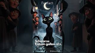 Schwarze Katzen Pech im Mittelalter [upl. by Saerdna593]