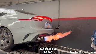 KIA STINGER 33 LOZIC ECU TUNE BACKFIRE [upl. by Etteroma]