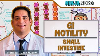 Gastrointestinal  GI Motility of the Small Intestine [upl. by Venuti]