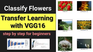 Transfer Learning with pretrained VGG16  How to do transfer learning  Deep Learning  Data Magic [upl. by Halstead182]