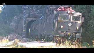 Tågtrains den 14 september 2024 train video cupcat [upl. by Caterina843]