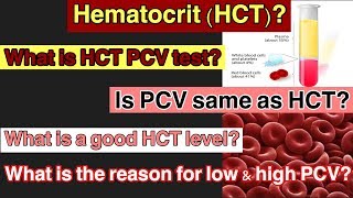 What is PCV HCT testHematocrit HCT  What is the Reasons of highamplow HCT PCV urduhindi [upl. by Anah]