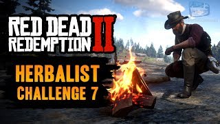 Red Dead Redemption 2 Herbalist Challenge 7 Guide  Craft and use 5 Special Miracle Tonics [upl. by Aninep]