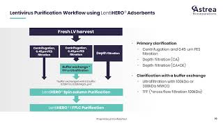 Minimizing Lentiviral Vector Loss During the Purification Process [upl. by Anisamoht]