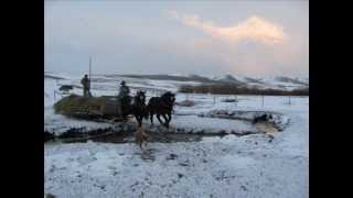 246Spotted Draft Horse Ranch Daryl Woolstenhulme ID [upl. by Israeli]