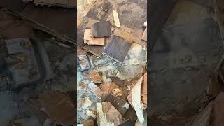 Hurricane wood floor removal construction demo wood asmr [upl. by Dimphia]