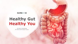 Healthy Gut Healthy You [upl. by O'Mahony]