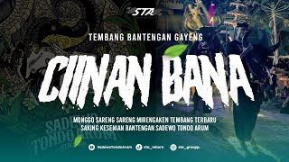 DJ BANTENGAN ‼️  CIINAN BANA  SADEWO TONDO ARUM [upl. by Nannoc]