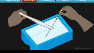 Cryotop Embryo Vitrification Animation [upl. by Tuhn]