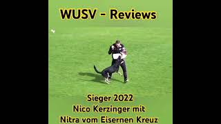 WUSV Reviews 2022 Nico Kerzinger mit Nitra vom Eisernen Kreuz [upl. by Dnomde]