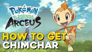 Pokemon Legends Arceus How To Get Chimchar [upl. by Inavihs]