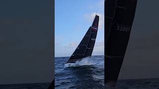 From the Rail  2024 Bird Island Race  Borderline from Crystal Cutter III [upl. by Bina]