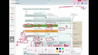 21 hydroxylase enzyme deficiency endocrinology 23  First Aid USMLE Step 1 in UrduHindi [upl. by Fidelas]