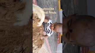 Gollavarame🥰🥳cutebaby youtubeshorts viralshorts [upl. by Sherar839]