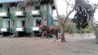 Sithulpawwa Monastery August 152014 [upl. by Eulau]