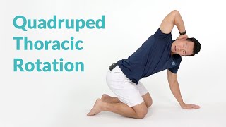 Quadruped Thoracic Rotation for Spine Mobility [upl. by Sirois959]