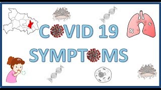 CoronavirusCOVID19 Symptoms amp Transmission  Pathological Basis [upl. by Meehyrb881]