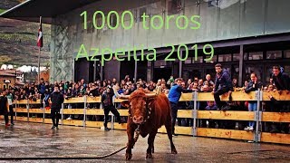 COGIDAS Y QUIEBROS IMPOSIBLES EN CARNAVAL AZPEITIA 2019 [upl. by Cristen]