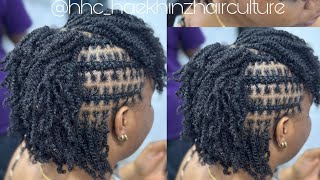 How to do mini twists on natural hair [upl. by Niwle297]