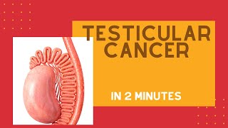 Testicular cancer in under 2 mins [upl. by Malissia]