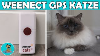 Weenect GPSTracker für die Katze 🔥 [upl. by Eanrahs989]