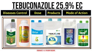 Tebuconazole 259 EC  Tebuconazole Fungicide  Uses  Dose  For which Diseases  Mode of Action । [upl. by Ninnetta]