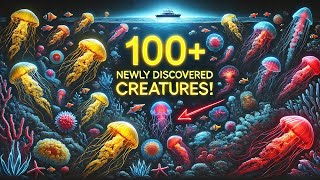 Newly Discovered Sea Creatures That Will BLOW Your Mind [upl. by Gnak]