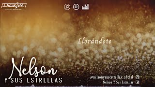 Nelsonysusestrellas  Llorándote Video Lyric Oficial [upl. by Ahseuqram]