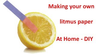 Make Litmus Paper from A4 Paper at Home By Yourself  DIY [upl. by Opiuuk]