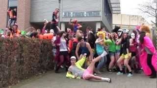 HARLEM SHAKE ORIGINAL  JSG [upl. by Dorita313]