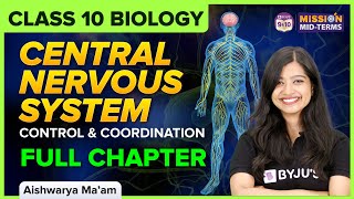 Class 10 Central Nervous System Explained  Control and Coordination  CBSE Biology [upl. by Nawtna]