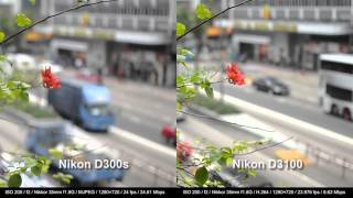 Review Nikon D3100 vs D300s [upl. by Wiener888]