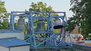 Jasna Góra  dzwony 8K  Jasna Gora monastery  bells 8K [upl. by Reppart]