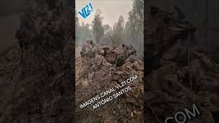 REPORTAGENS  INCÊNDIOS ALBERGARIA A VELHA  RELVAS SET 2024  VL21 [upl. by Hekker987]