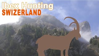 Alpine Ibex Hunting in Swizerland  2015 Chasse Approche [upl. by Bekaj]