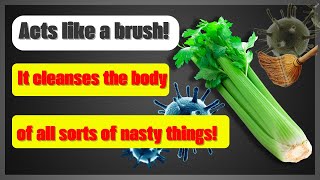 BENEFITS AND HARMS OF CELERY WHO CAN AND WHO CANT [upl. by Neurath728]